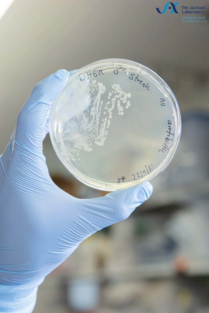 Laboratory Sample Handling Photography Petri dish handling technique - Scientific laboratory photography by Camarda Visual Studio