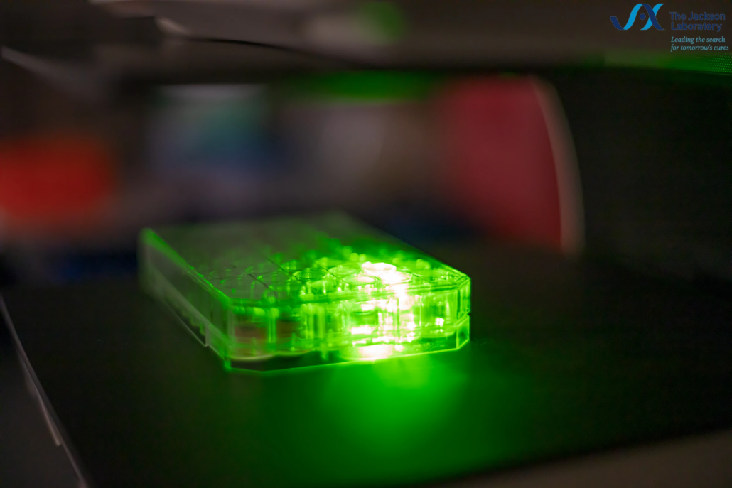 Laboratory Imaging Equipment Photography Multi-well sample plate on imaging equipment - Scientific photography by Camarda Visual Studio